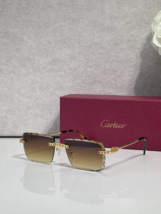 Picture of Cartier Sunglasses _SKUfw80238819fw